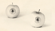 2 apple with eyes